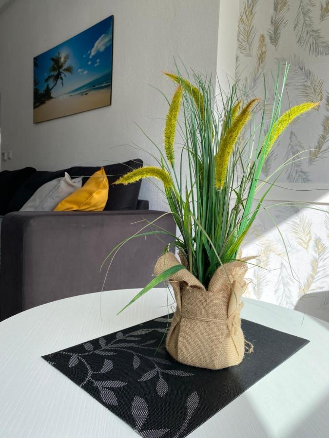 Sunshine Apartment Torrevieja Exterior foto